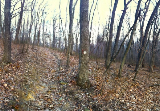 Sheltowee Trace Moonrise